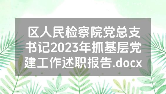 区人民检察院党总支书记2023年抓基层党建工作述职报告.docx