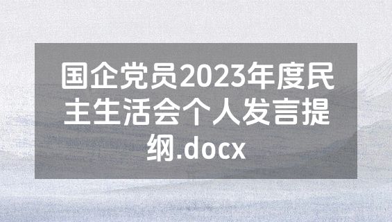 国企党员2023年度民主生活会个人发言提纲.docx