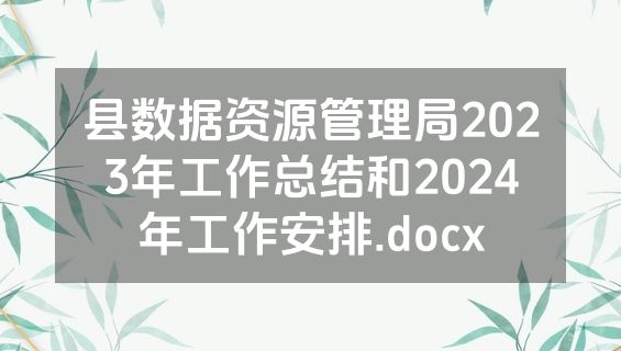 县数据资源管理局2023年工作总结和2024年工作安排.docx