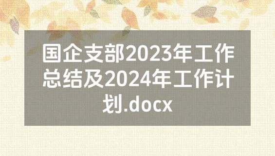 国企支部2023年工作总结及2024年工作计划.docx