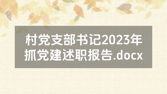 村党支部书记2023年抓党建述职报告.docx