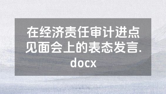 在经济责任审计进点见面会上的表态发言.docx
