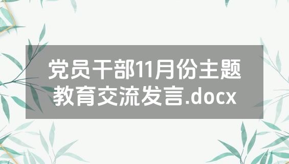 党员干部11月份主题教育交流发言.docx