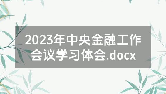 2023年中央金融工作会议学习体会.docx