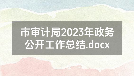 市审计局2023年政务公开工作总结.docx
