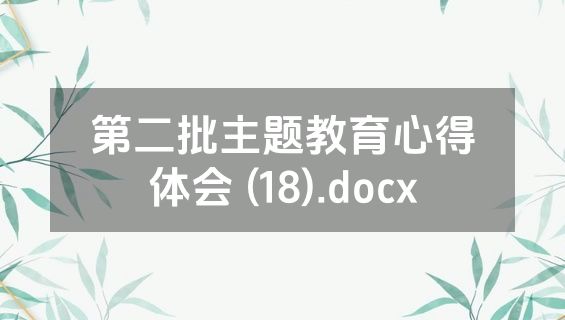 第二批主题教育心得体会 (18).docx