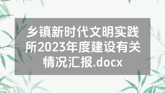 乡镇新时代文明实践所2023年度建设有关情况汇报.docx