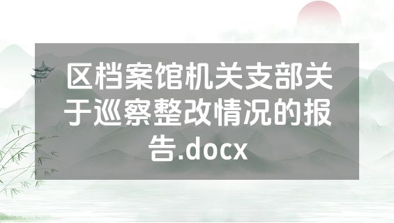 区档案馆机关支部关于巡察整改情况的报告.docx