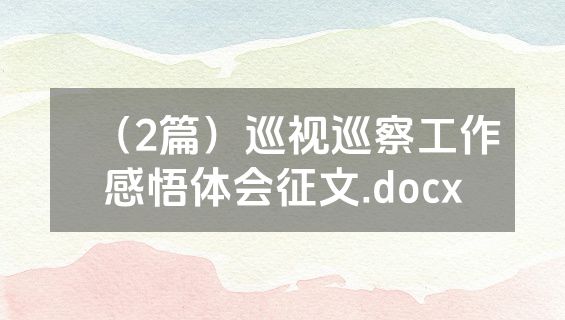 （2篇）巡视巡察工作感悟体会征文.docx
