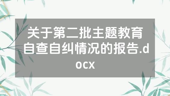 关于第二批主题教育自查自纠情况的报告.docx