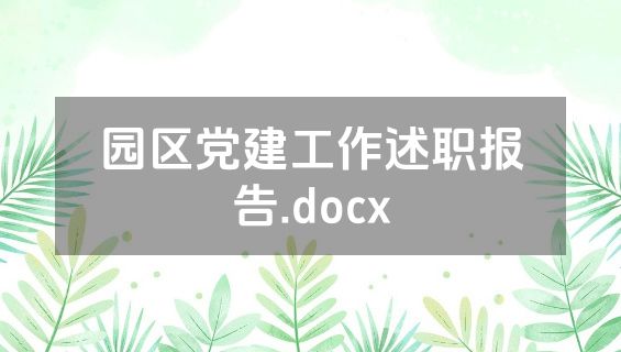 园区党建工作述职报告.docx