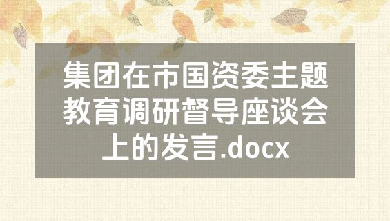 集团在市国资委主题教育调研督导座谈会上的发言.docx
