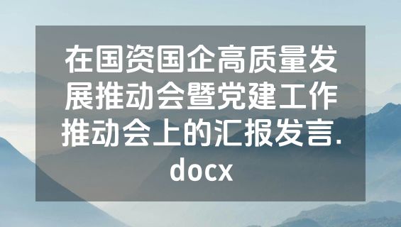 在国资国企高质量发展推动会暨党建工作推动会上的汇报发言.docx