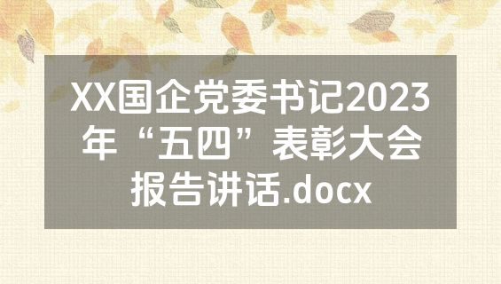 XX国企党委书记2023年“五四”表彰大会报告讲话.docx