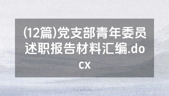 (12篇)党支部青年委员述职报告材料汇编.docx
