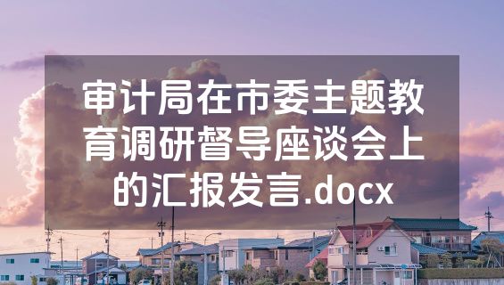 审计局在市委主题教育调研督导座谈会上的汇报发言.docx