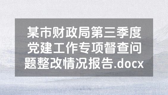 某市财政局第三季度党建工作专项督查问题整改情况报告.docx