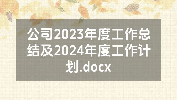 公司2023年度工作总结及2024年度工作计划.docx