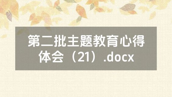 第二批主题教育心得体会（21）.docx