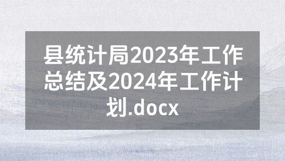 县统计局2023年工作总结及2024年工作计划.docx