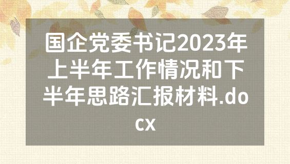 国企党委书记2023年上半年工作情况和下半年思路汇报材料.docx