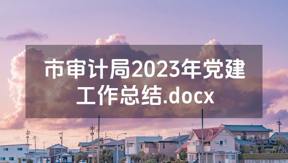 市审计局2023年党建工作总结.docx