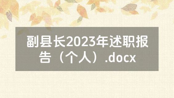 副县长2023年述职报告（个人）.docx