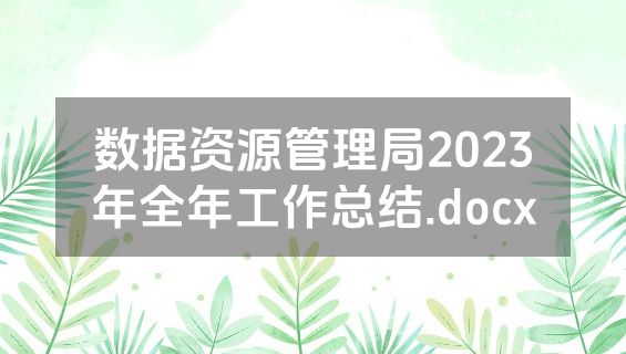 数据资源管理局2023年全年工作总结.docx
