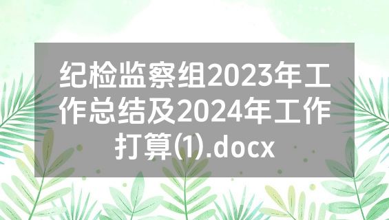 纪检监察组2023年工作总结及2024年工作打算(1).docx