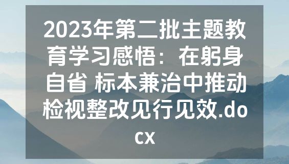 2023年第二批主题教育学习感悟：在躬身自省 标本兼治中推动检视整改见行见效.docx