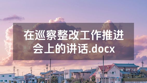 在巡察整改工作推进会上的讲话.docx