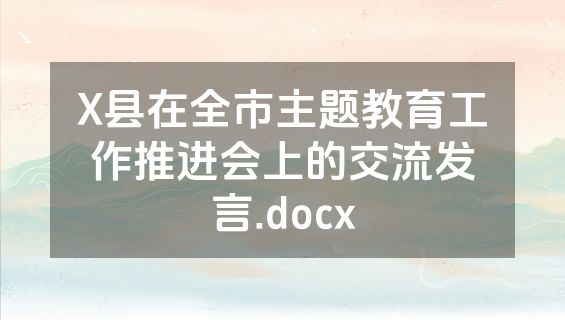 X县在全市主题教育工作推进会上的交流发言.docx