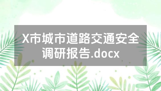 X市城市道路交通安全调研报告.docx