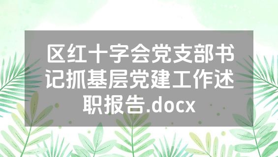 区红十字会党支部书记抓基层党建工作述职报告.docx