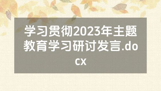 学习贯彻2023年主题教育学习研讨发言.docx