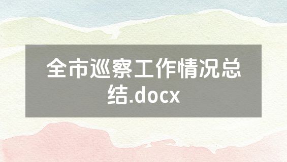 全市巡察工作情况总结.docx
