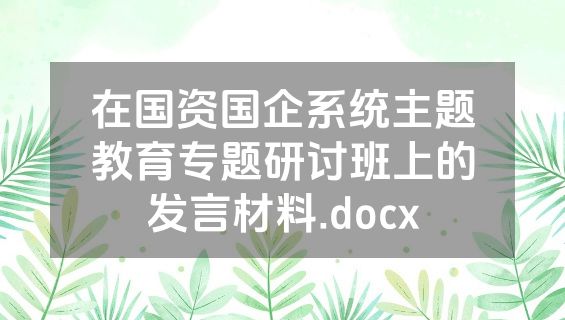 在国资国企系统主题教育专题研讨班上的发言材料.docx