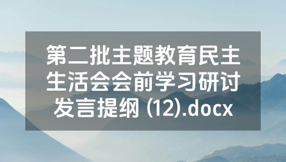 第二批主题教育民主生活会会前学习研讨发言提纲 (12).docx