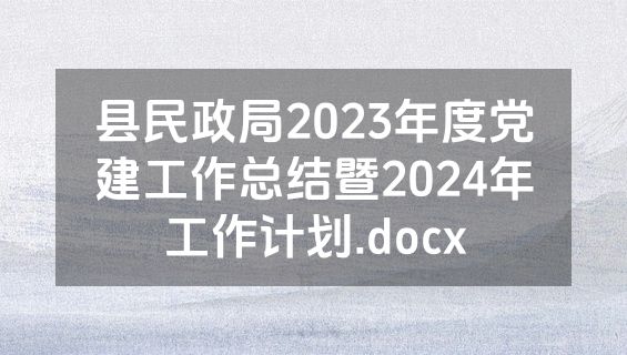 县民政局2023年度党建工作总结暨2024年工作计划.docx