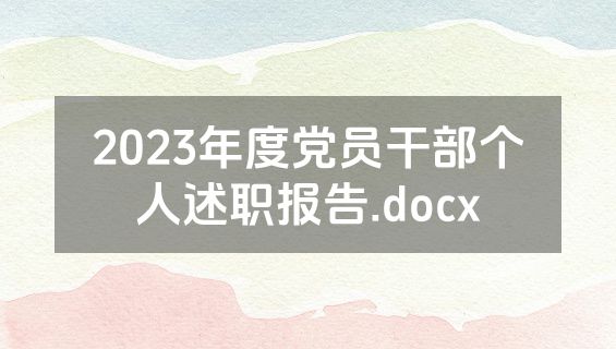 2023年度党员干部个人述职报告.docx