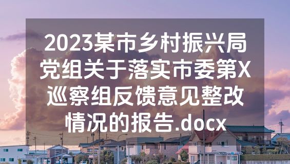 2023某市乡村振兴局党组关于落实市委第X巡察组反馈意见整改情况的报告.docx