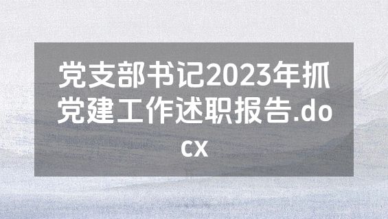 党支部书记2023年抓党建工作述职报告.docx