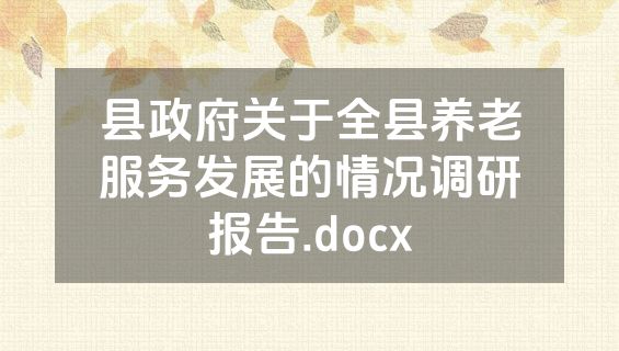 县政府关于全县养老服务发展的情况调研报告.docx