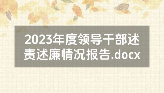 2023年度领导干部述责述廉情况报告.docx