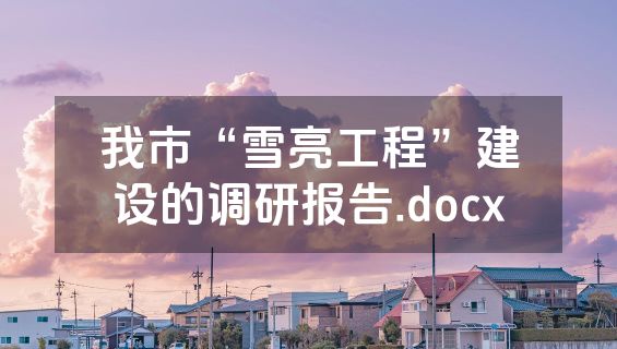我市“雪亮工程”建设的调研报告.docx