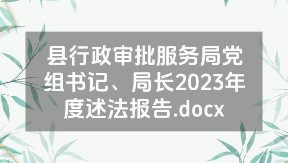 县行政审批服务局党组书记、局长2023年度述法报告.docx