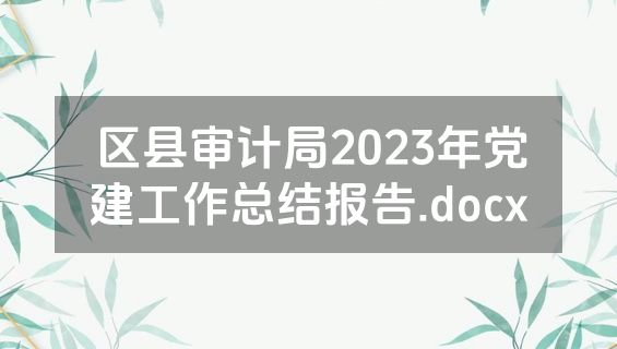 区县审计局2023年党建工作总结报告.docx