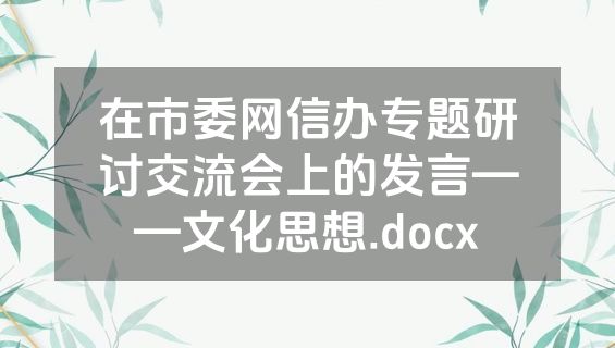 在市委网信办专题研讨交流会上的发言——文化思想.docx
