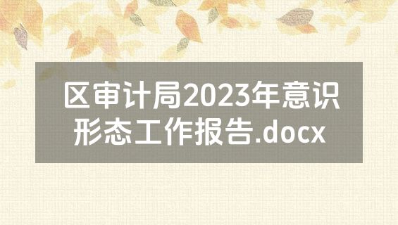 区审计局2023年意识形态工作报告.docx