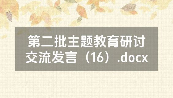 第二批主题教育研讨交流发言（16）.docx
